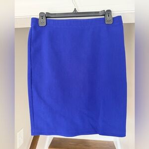 Elegant Blue Women's Skirt